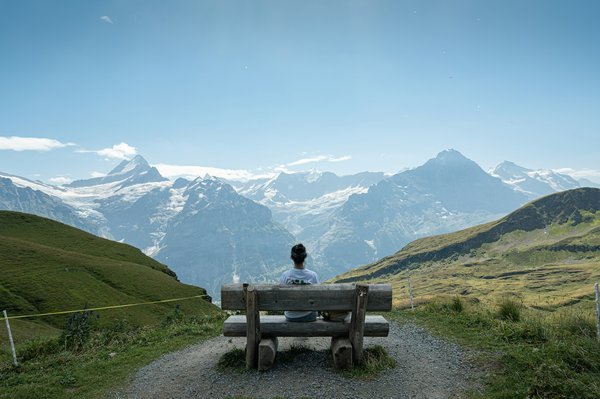 Séjour inoubliable au gîte côte d'opale : nature et tranquillité !